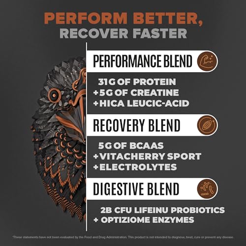 Birdman Falcon Performance Vegan Protein Powder, 31g Protein, 5g Creatine, 5g BCAA, Probiotics, Electrolytes, Pre Workout, Low Carb, Sugar Free & Dairy Free, Plant Based Chocolate Protein -19 servings