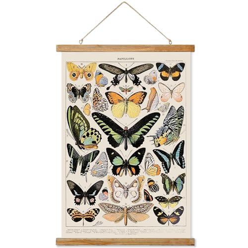 Ovfovy Vintage Butterfly Poster Hanger Frame, Retro Style of Wall Art Prints, Printed on Linen with Natural Wooden Frames, Illustrative Reference Chart Poster for Living Room Office Bedroom