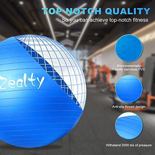 zeatly Yoga Ball Exercise Ball - Anti-Slip and Anti-Burst Workout Ball, Birthing Ball Fitness Ball with Quick Pump, Balance Ball Chair for Stability, Pregnancy and Physical Therapy