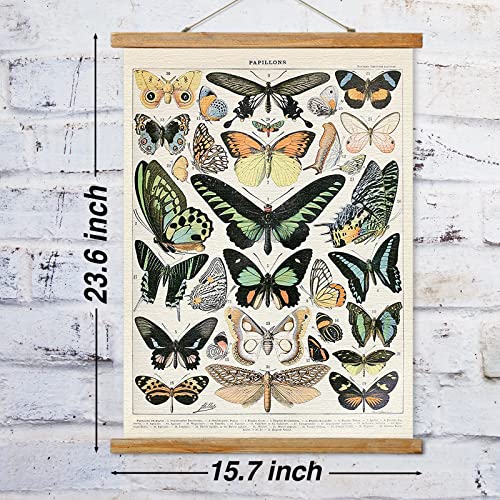 Ovfovy Vintage Butterfly Poster Hanger Frame, Retro Style of Wall Art Prints, Printed on Linen with Natural Wooden Frames, Illustrative Reference Chart Poster for Living Room Office Bedroom